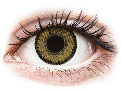 SofLens Natural Colors Dark Hazel - nedioptrické