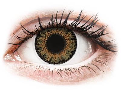 ColourVue One Day TruBlends Rainbow 1 - nedioptrické (10 čoček) - ColourVue One Day TruBlends Rainbow 1 -  Brown