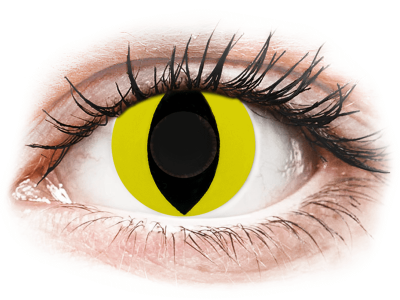 CRAZY LENS - Cat Eye Yellow - nedioptrické jednodenní (2 čočky) - Barevné kontaktní čočky