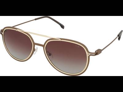 Crullé Sprightly C5