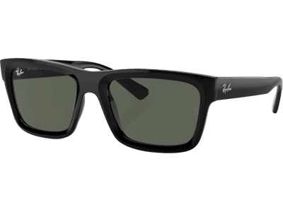 Ray-Ban Warren RB4396 667771